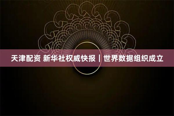 天津配资 新华社权威快报｜世界数据组织成立