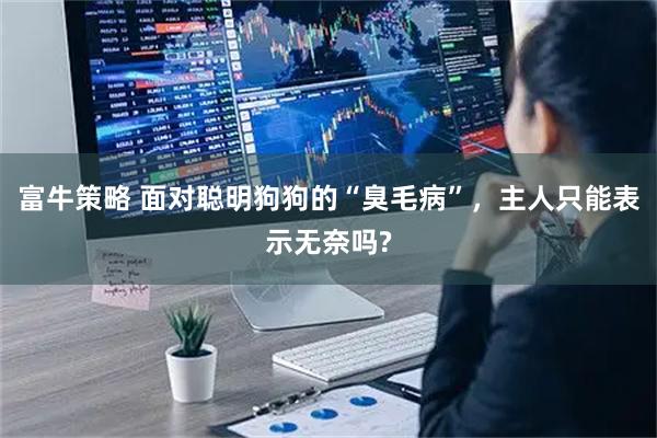 富牛策略 面对聪明狗狗的“臭毛病”,主人只能表示无奈吗?