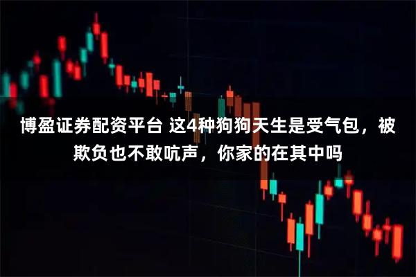 博盈证券配资平台 这4种狗狗天生是受气包,被欺负也不敢吭声,你家的在其中吗
