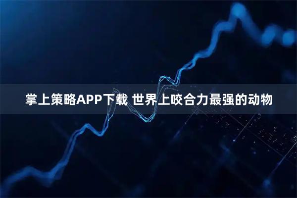 掌上策略APP下载 世界上咬合力最强的动物
