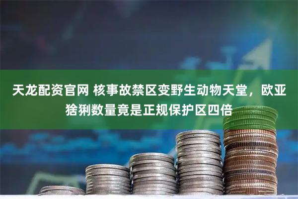 天龙配资官网 核事故禁区变野生动物天堂，欧亚猞猁数量竟是正规保护区四倍